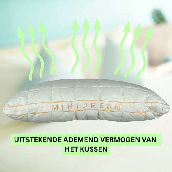 MINIDREAM